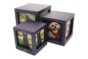 cmpc15-violet-photo-cubes-violet-ensemble