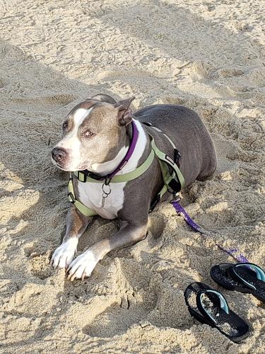 Lola-Ferguson-10 (1)