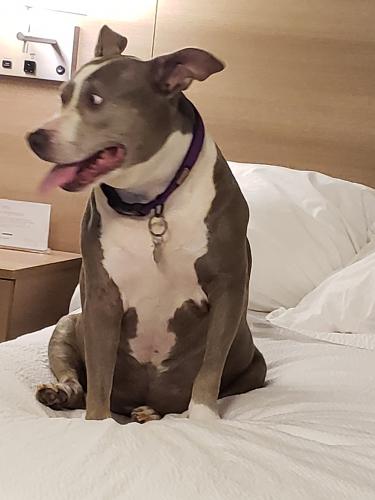 Lola-Ferguson-11 (1)