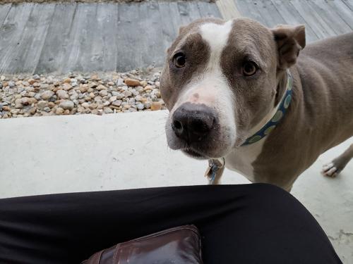 Lola-Ferguson-12 (1)