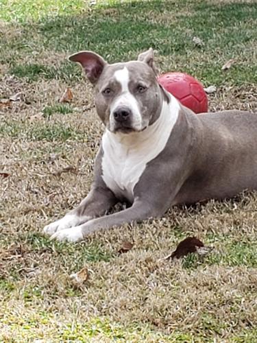 Lola-Ferguson-13 (1)