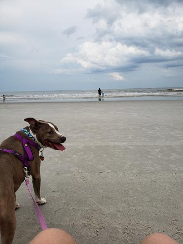 Lola-Ferguson-15 (1)