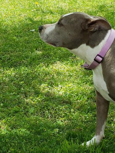 Lola-Ferguson-18 (1)