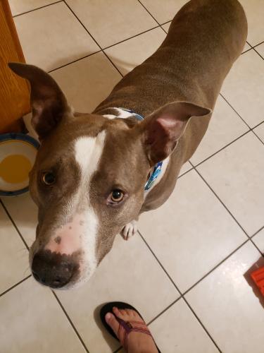 Lola-Ferguson-19 (1)