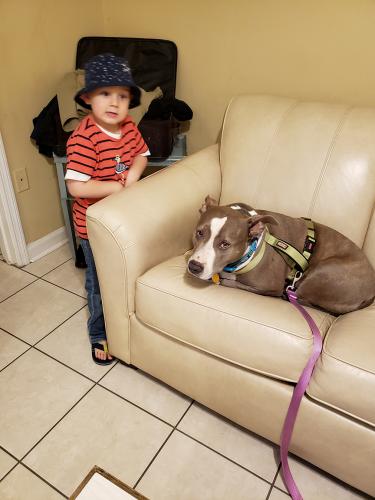 Lola-Ferguson-20 (1)