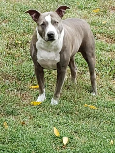 Lola-Ferguson-21 (1)