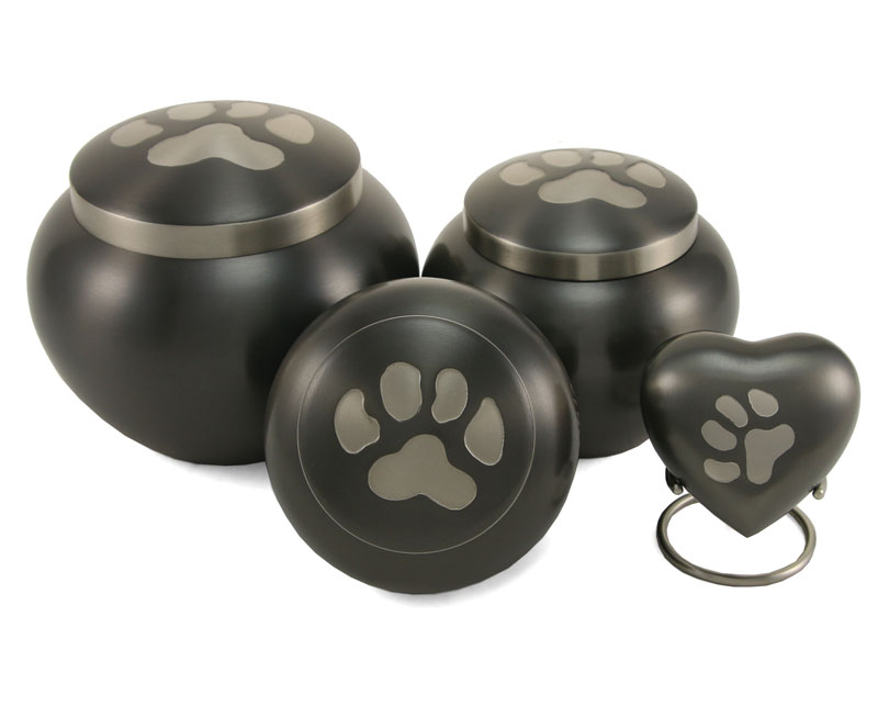 paw-print-odessey-slate